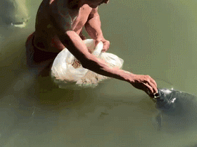 GIF：上班这玩意机器人也受不了！