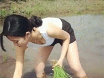 大姐姐，你这衣服不适合插秧