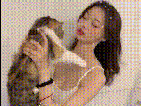 网友：我活得不如一只猫