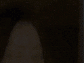 不知道自己在期待什么