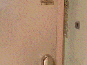 GIF：这个手机壳很好看