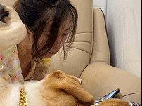 狗子：来，让我看看