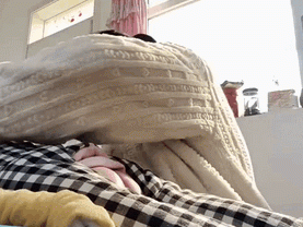 第一次看见屁，而不是听见屁