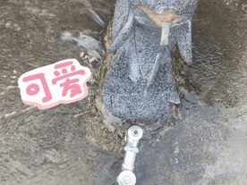 GIF：排队请保持一米距离