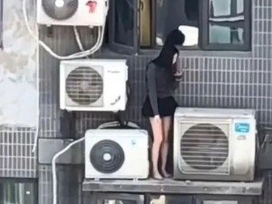 美女躲在这，是女主人回来了吗？