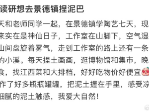 不想读研想去景德镇玩泥巴，享受大自然