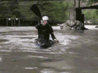 GIF：说得对，紫色有韵味！