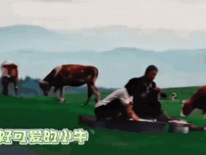 GIF：这种事确实说得上是天赋异禀